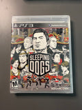 Sleeping Dogs