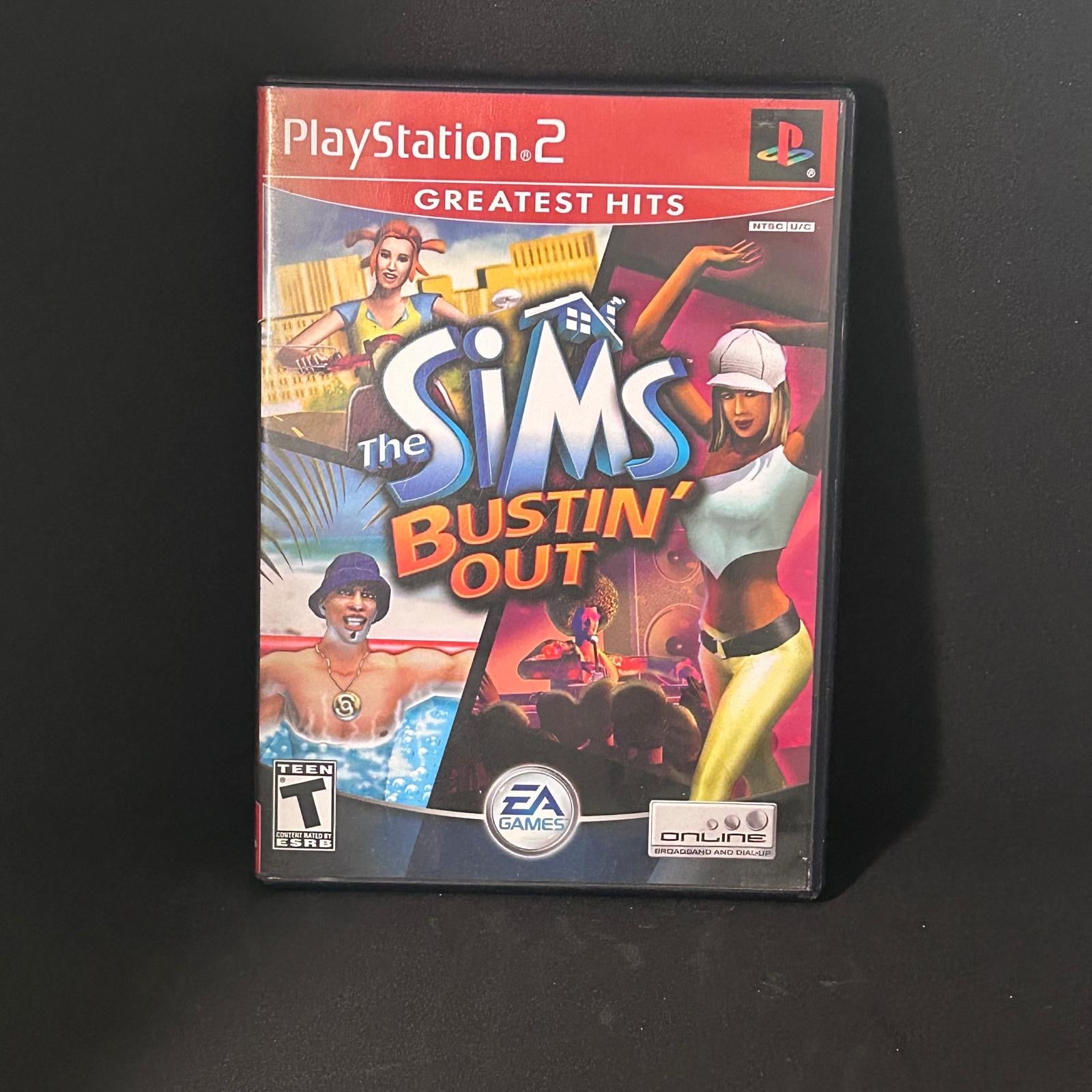 The Sims Bustin' Out